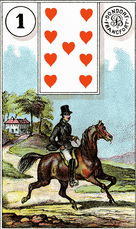 Special Edition: I'm on the IDHA Blog!