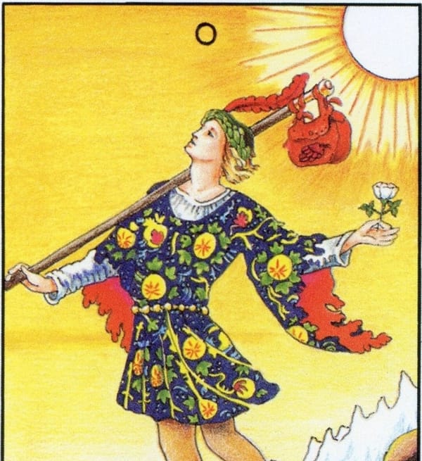 Full card image description: The Fool steps forward at the edge of a cliff, wearing a brightly colored robe and carrying a small bag and a white rose. A white dog is on the right.